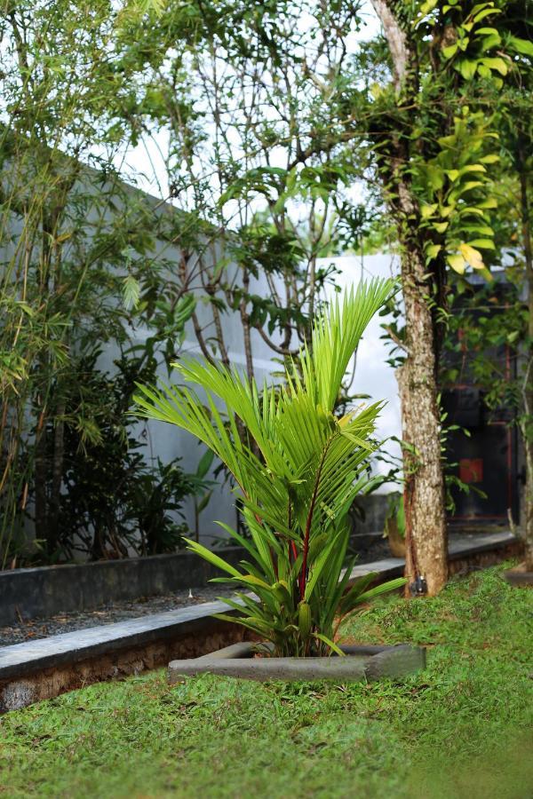Triple Edge Villa Unawatuna Buitenkant foto